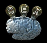 Le rappresentazioni neurologiche dell’eccitazione sessuale